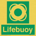 lifebuoy-with-symbol~